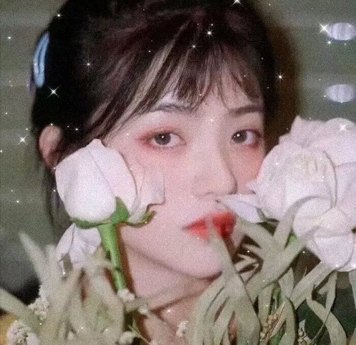 为了姐妹